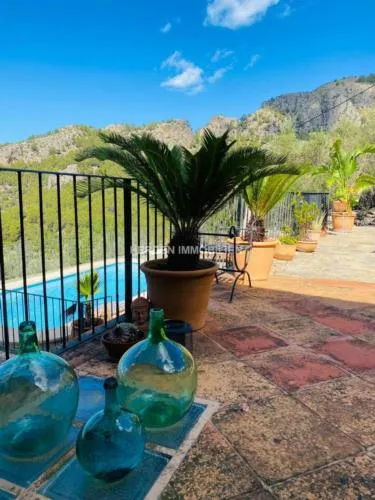 Finca Puerto de Soller Mallorca for Rent — photo 4