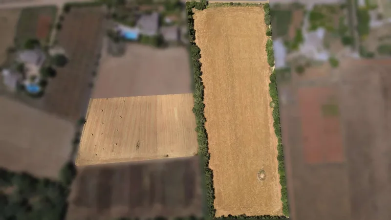 Unique plot of over 17,000 m² – Build your project in Mallorca — photo 4