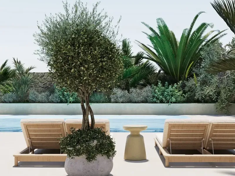 Village house in Marratxinet (Marratxi), Mallorca — photo 4