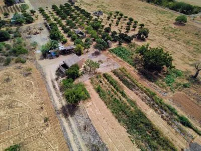 Rustic property - Porreres (Afueras) — photo 12