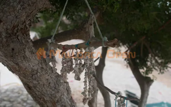 Beachfront house in Cala Bona — photo 9