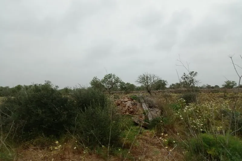 Plot with building project between Es Llombards – Faro Salines — T 08 VK CM — photo 3