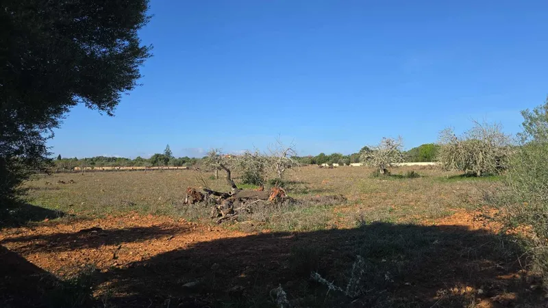 Building plot with approved finca project in Sa Cruta near Porto Cristo — photo 11