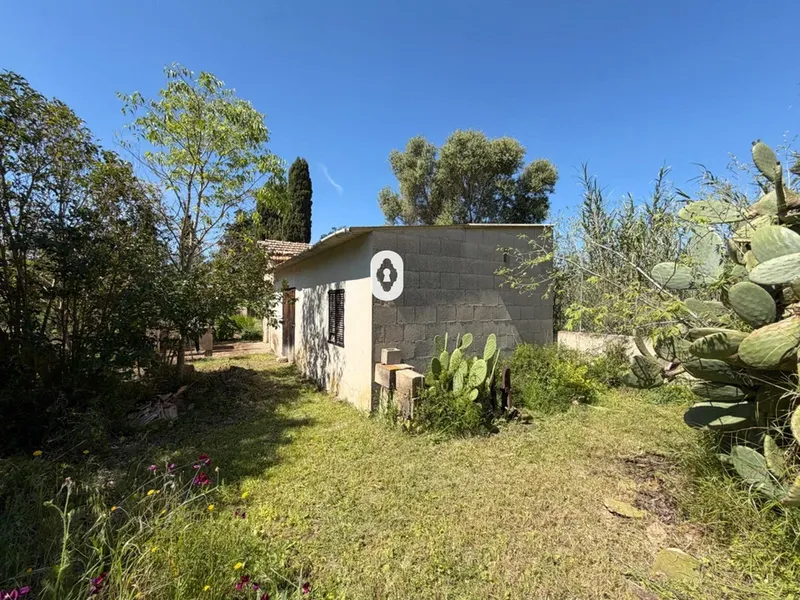 Country house in Binissalem, Mallorca — photo 1