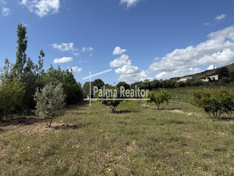 Land for sale in Son Servera of 6451 m2 — photo 2