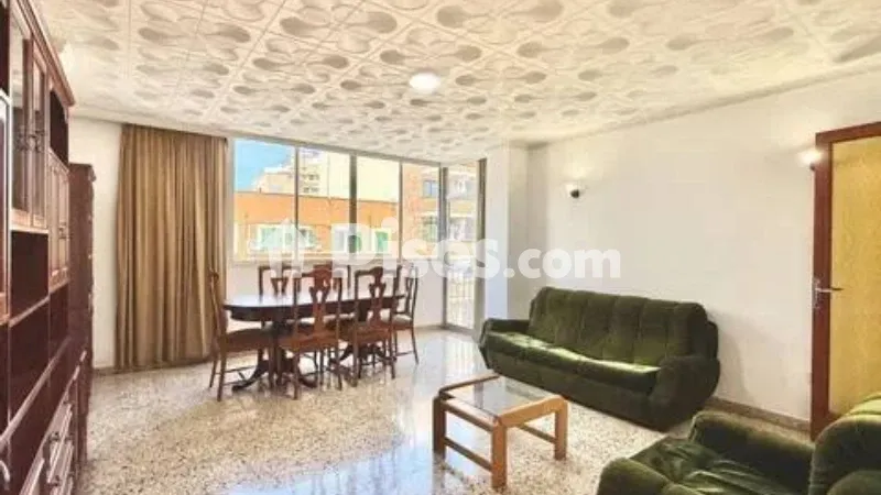 Apartment in Pere Garau — photo 4
