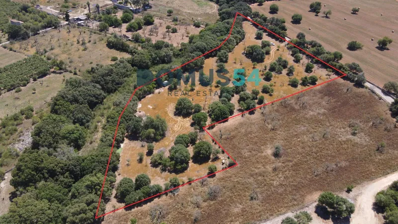 Rustic land for building in Buger — photo 2