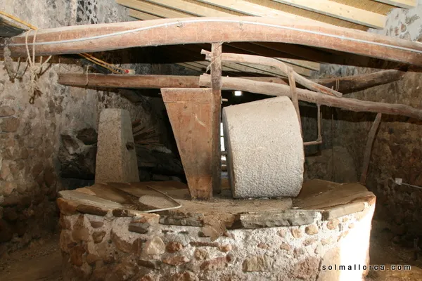 Rustic Finca for sale in Pollença, Mallorca, Baleares, Mallorca — photo 4