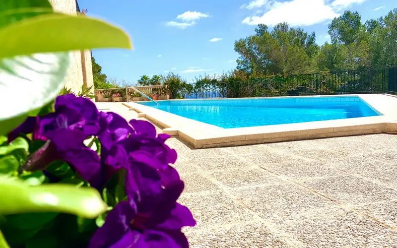 Apartment with a View of the Sea in Font de Sa Cala — photo 5
