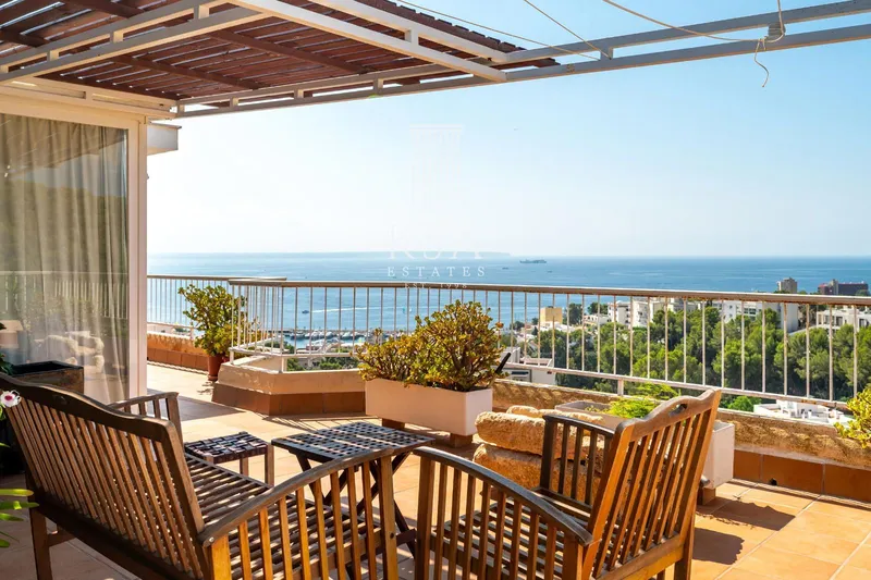 Penthouse — photo 8