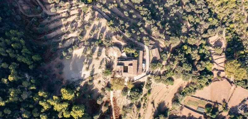 Historic estate with defense tower and 311 hectares with sea views near Estellencs — photo 8