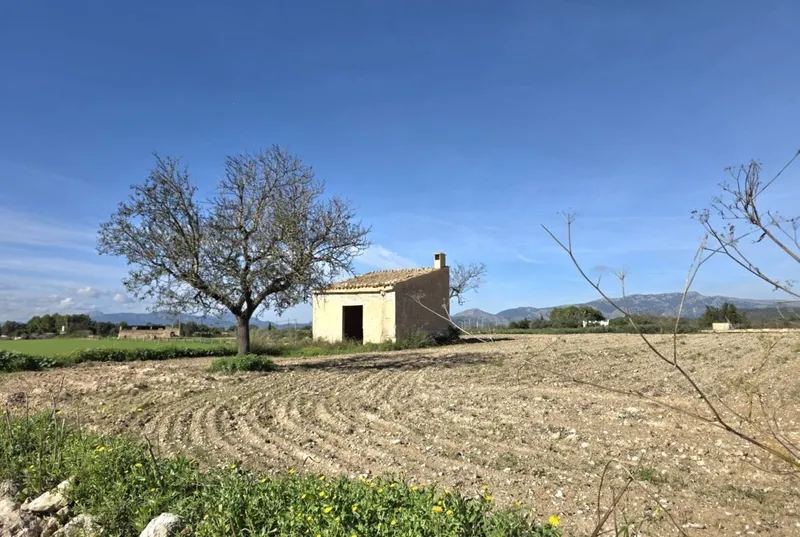 Plot with small house — photo 4