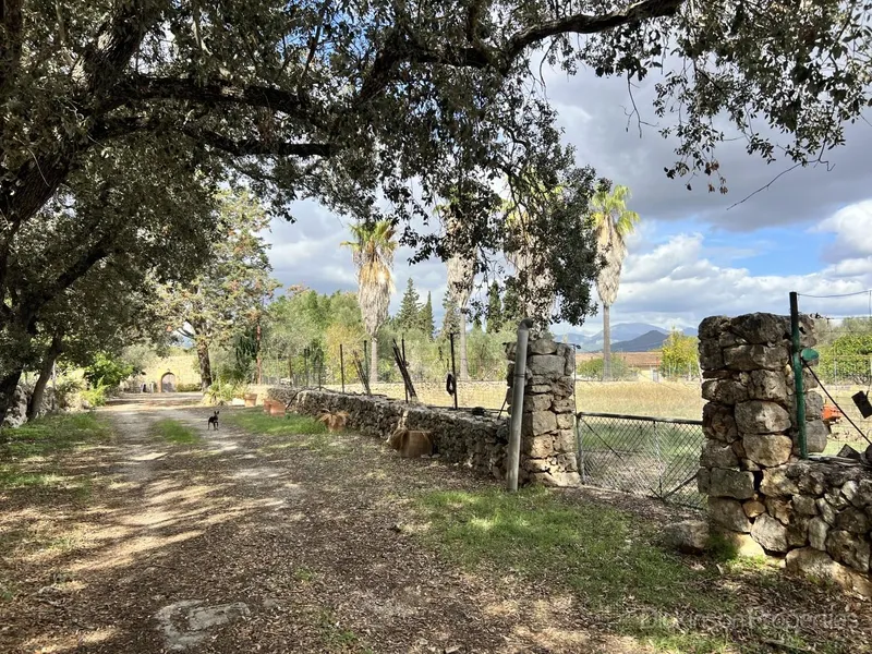 Charming rustic finca in Costitx — photo 9