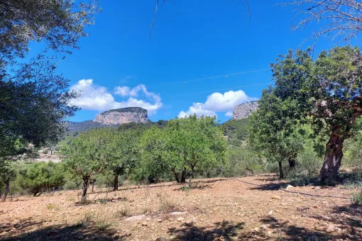 Alaró, finca project in a stunning hill landscape with mountain views near Alaró — photo 6