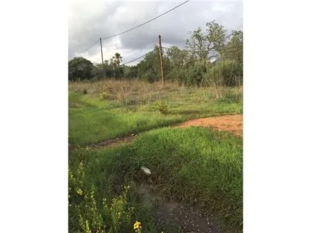 Rural Land - Llucmajor (Llucmajor (Campo)), Plot Surface 5965m² — photo 7