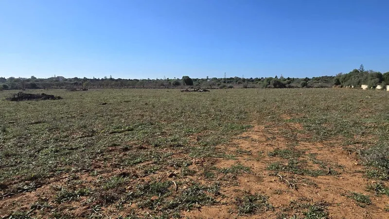 Building plot with approved finca project in Sa Cruta near Porto Cristo — photo 7