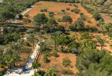 Rustic finca for sale in Sa Vinyola — photo 8