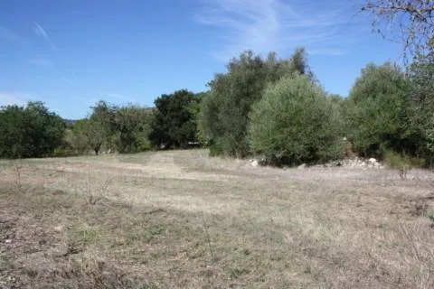 Plot — photo 8