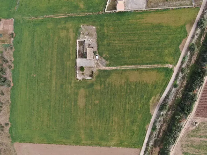 Land in Sa Pobla, Mallorca — photo 6