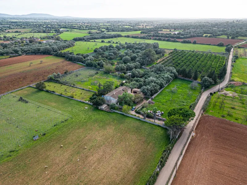 Magnificent rustic estate in the Porreres area — photo 1