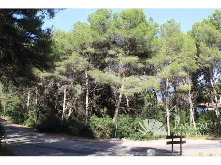Plot for sale in Canyamel — photo 2