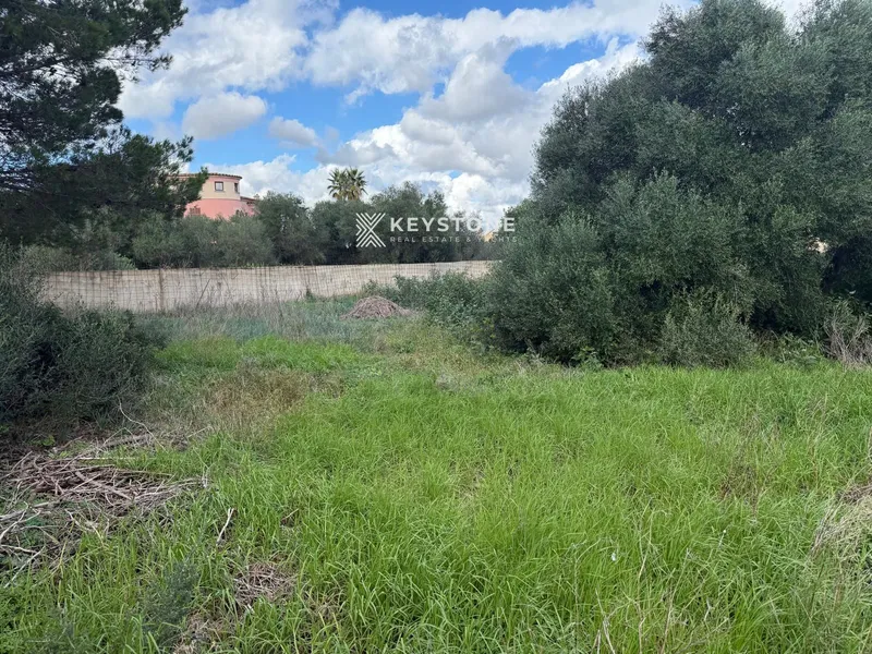 Plot — photo 1