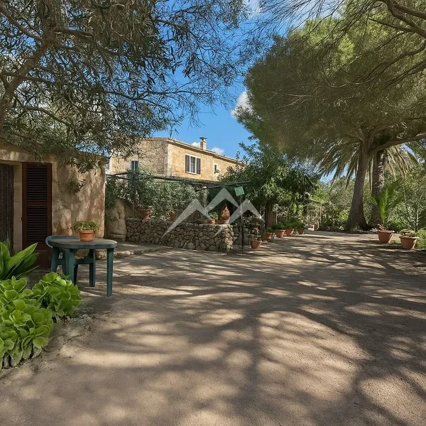Finca with house and pool — photo 4