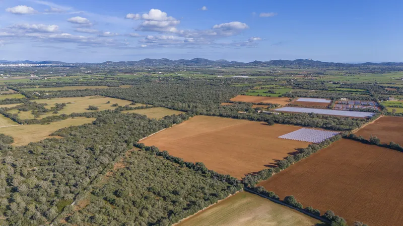 Fantastic finca in Vilafranca de Bonany with project and building license, large plot for investors — photo 5