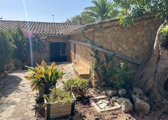 Semi-detached house in Carretera Andratx, 11 Km, Palmanova, Calvià — photo 1