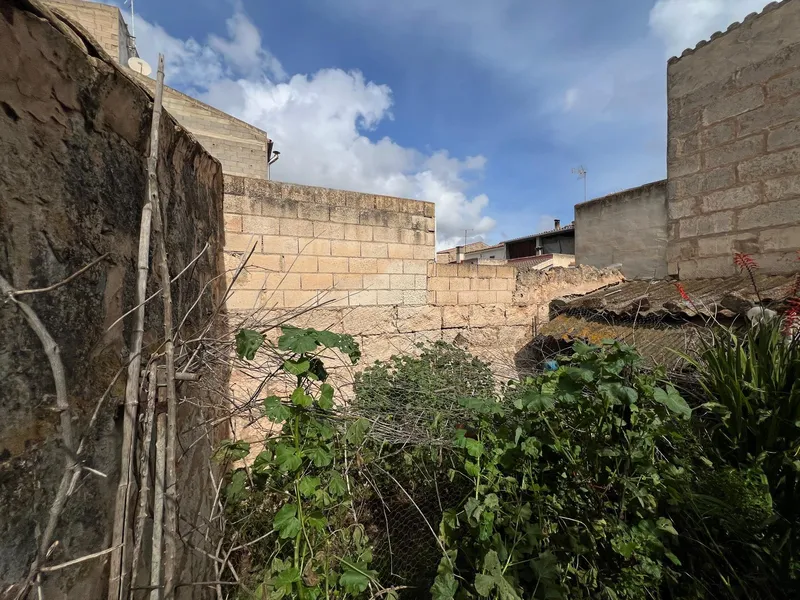 Renovation Opportunity in Muro, Mallorca — photo 8
