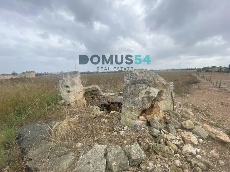 plot in Sa Pobla — photo 5