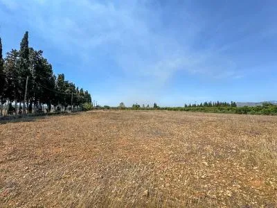 Rustic property in Llubí with 257 m² built and 7,527 m² plot, 1 room — photo 8