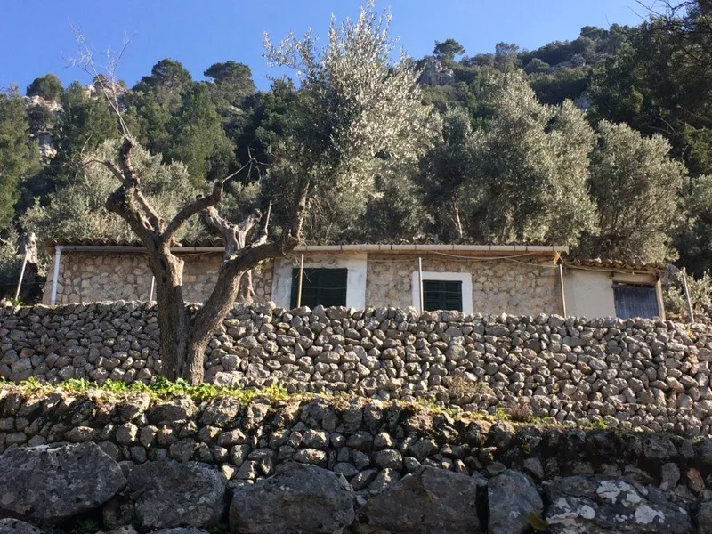 Beautiful olive grove with porch and car access in Fornalutx — photo 8