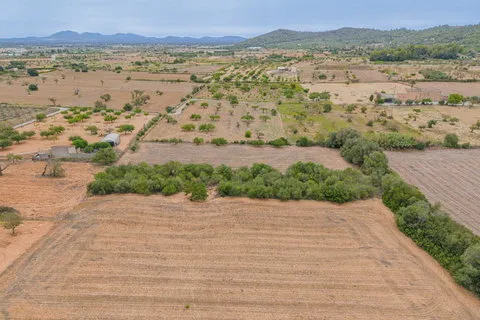 Land in Porreres, Mallorca — photo 9