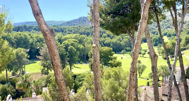 Cozy Mallorca Apartment in Bendinat on the Golf Course — photo 4