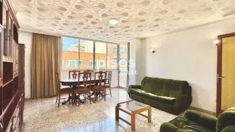 Apartment in Pere Garau — photo 3