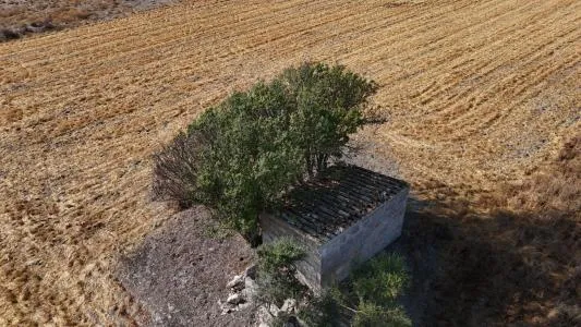 Rustic Land - Maria de la Salut — photo 9
