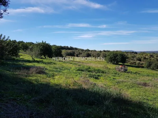 Building Plot for Sale in Manacor, Mallorca — photo 1