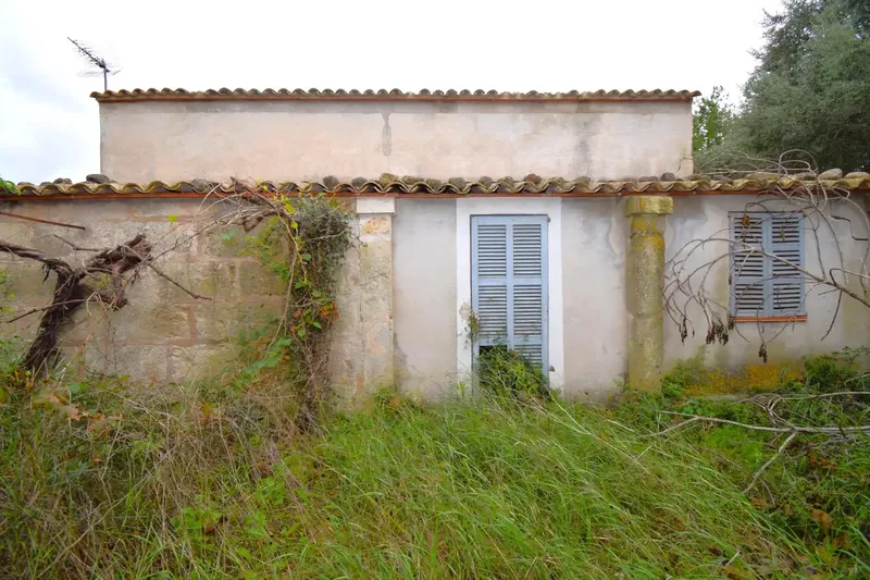 Rustic estate with a plot of 50,419 m² in Muro — photo 5
