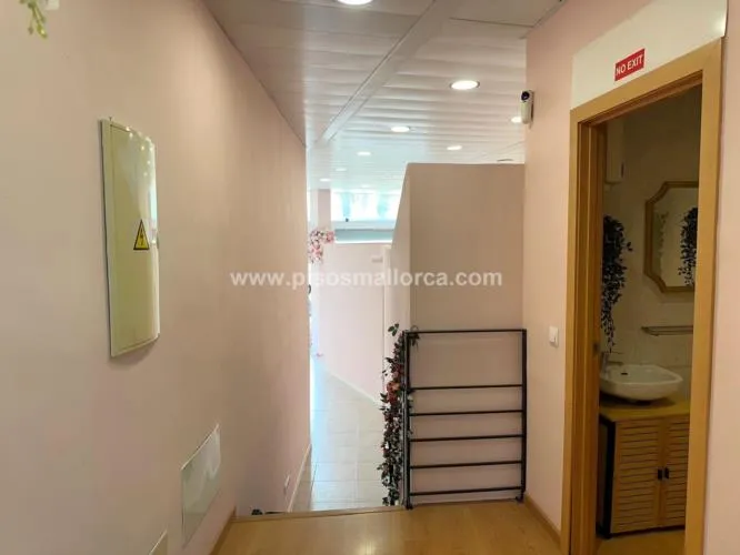 Commercial Premises. Palma de Mallorca, Schools Area — photo 8