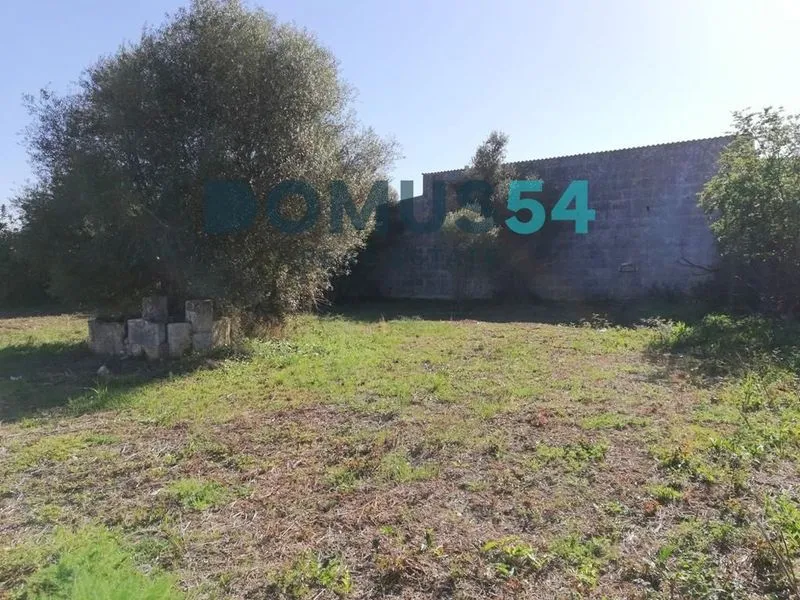 Rustic land not for building in Campanet — photo 1