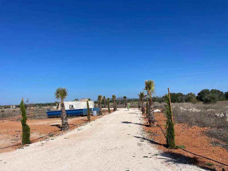 Dream newly built finca with pool between Campos and Sa Rapita — photo 7