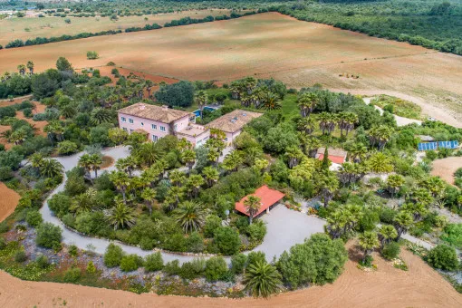 Santa Margalida: Grand New-Build Finca with Sea Views and Great Potential near Santa Margalida — photo 3