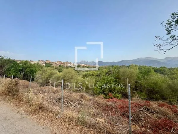 347m² plot with 347m² garden for sale in Campanet — photo 9