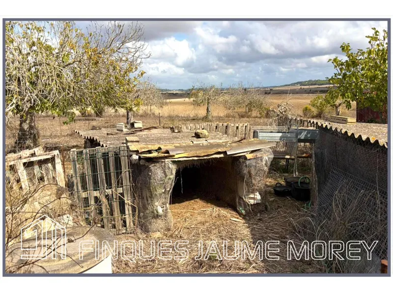 Rustic house — photo 7