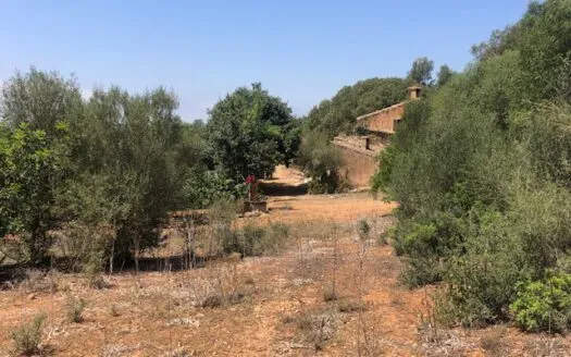 Rustic Finca in Campos — photo 5