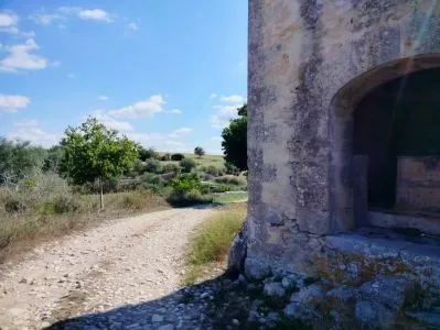 Rustic land - Palma de Mallorca (La Soledad Norte), built surface 1967 m², plot surface 546660 m², 9... — photo 2