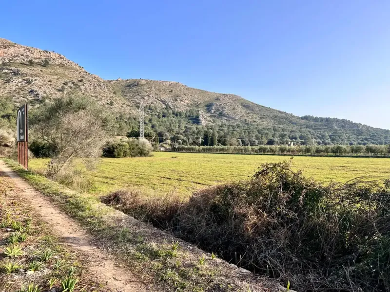 Rustic estate in Alcudia, with an area of approximately 23,000 m2, possibilities to build a detached single-family home and — photo 4
