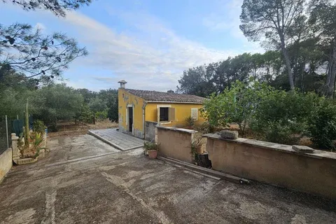 Finca in Sa Pobla, Mallorca — photo 7