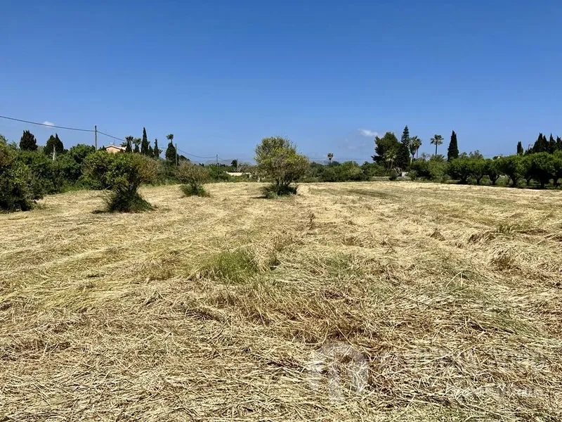 Land — photo 6